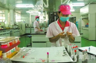 蕾琪 匠心鑄就華南最大化妝品基地，引領(lǐng)國貨彩妝新風(fēng)尚